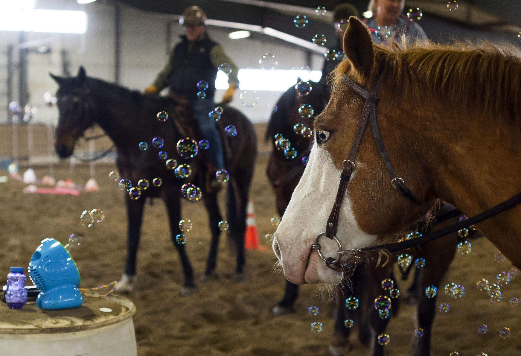 Jackson Police Department Citizens Mounted Unit
